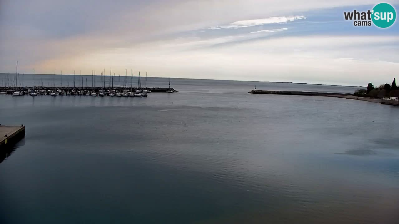 Webcam Sistiana – Vista sobre la marina y la bahía