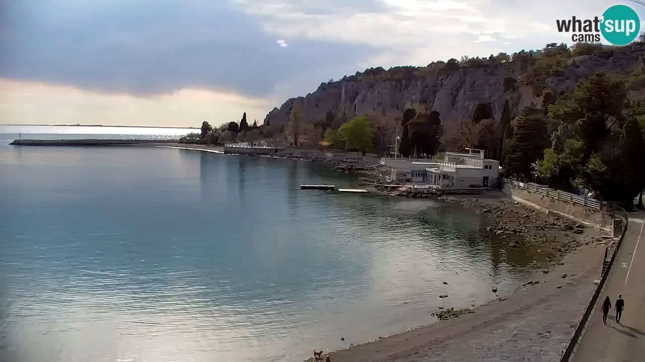 Webcam Sistiana – Blick auf Marina und Bucht