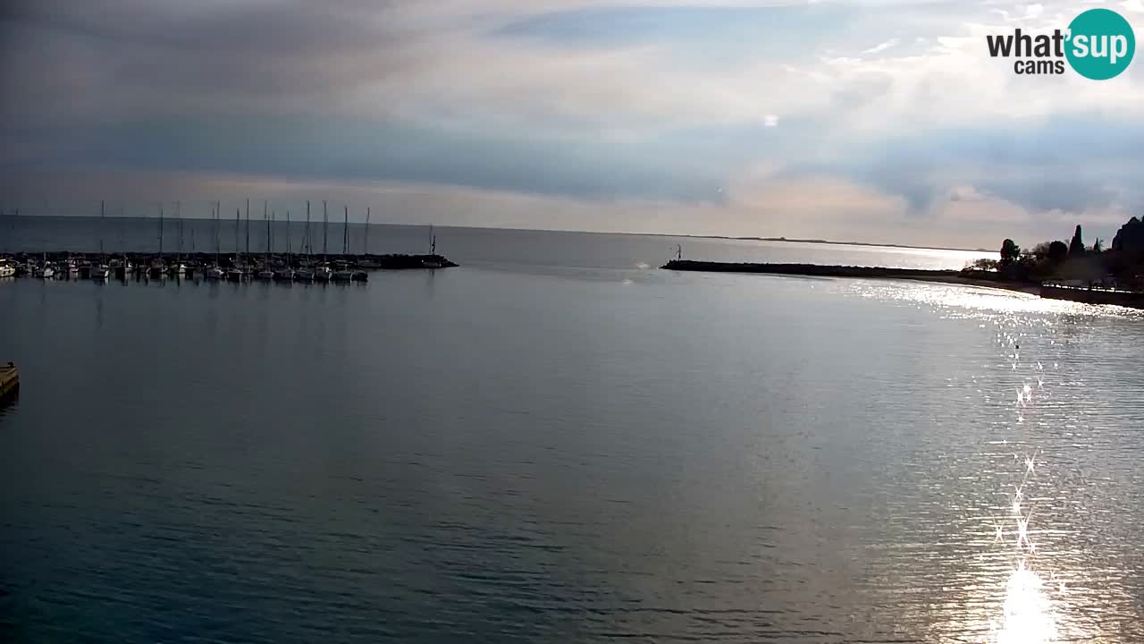 Webcam Sistiana – Marina and Bay Live View