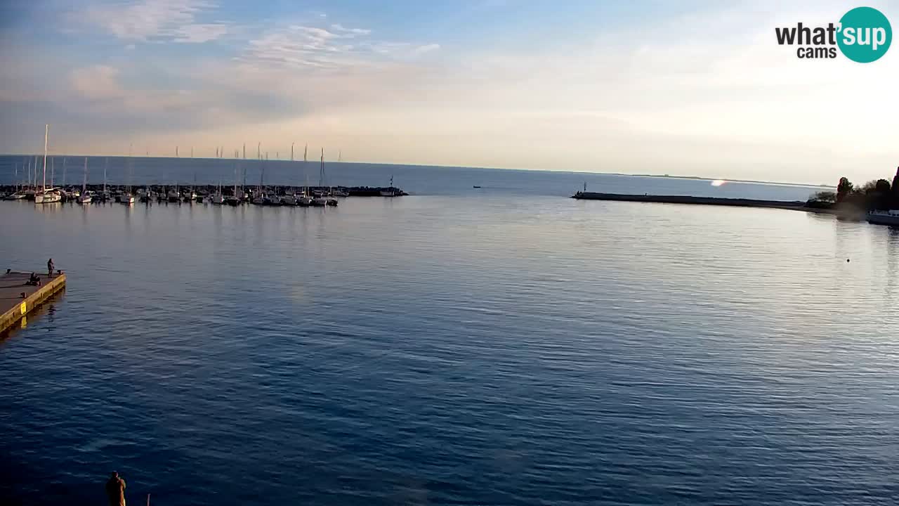 Webcam Sistiana – Marina and Bay Live View