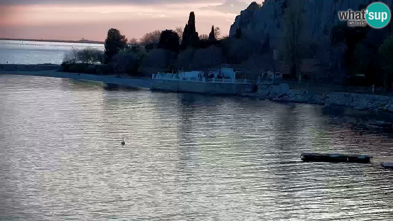 Webcam Sistiana – Marina and Bay Live View