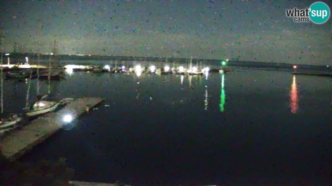 Webcam Sistiana – Marina and Bay Live View