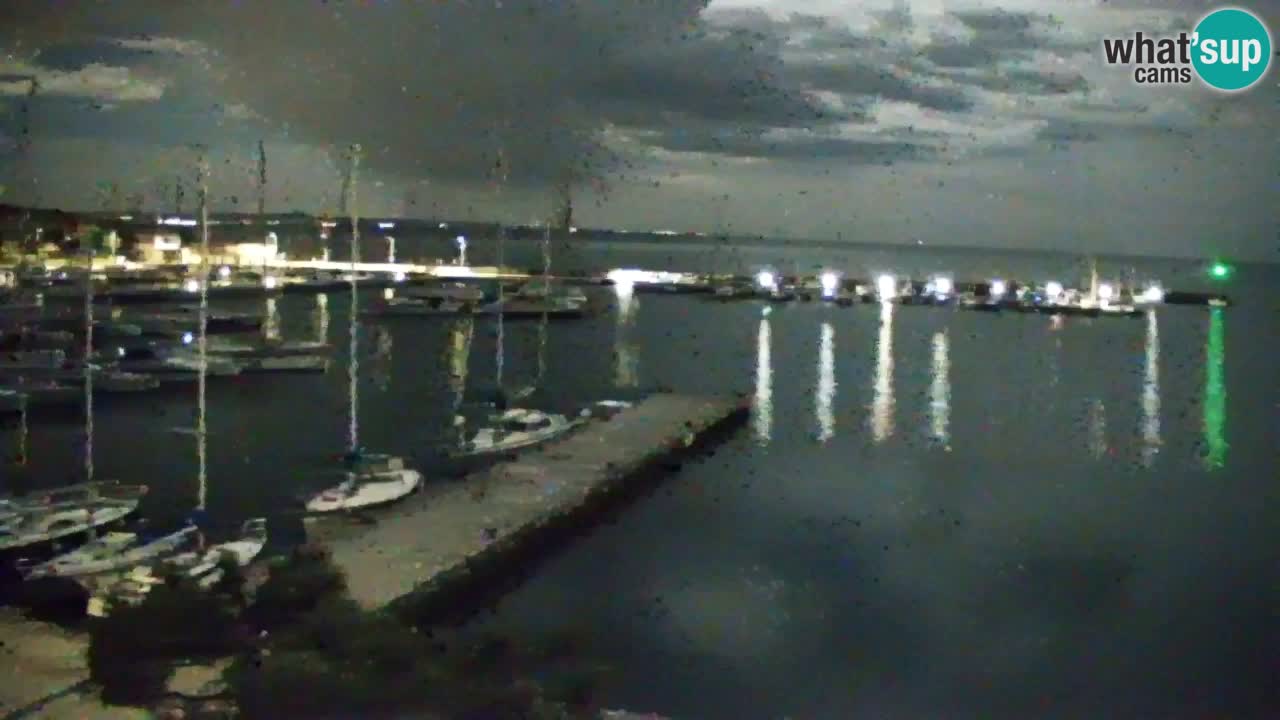 Webcam Sistiana – Pogled na marinu i zaljev