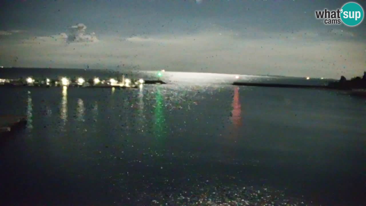 Spletna kamera Sesljan (Sistiana) – Pogled na marino in zaliv