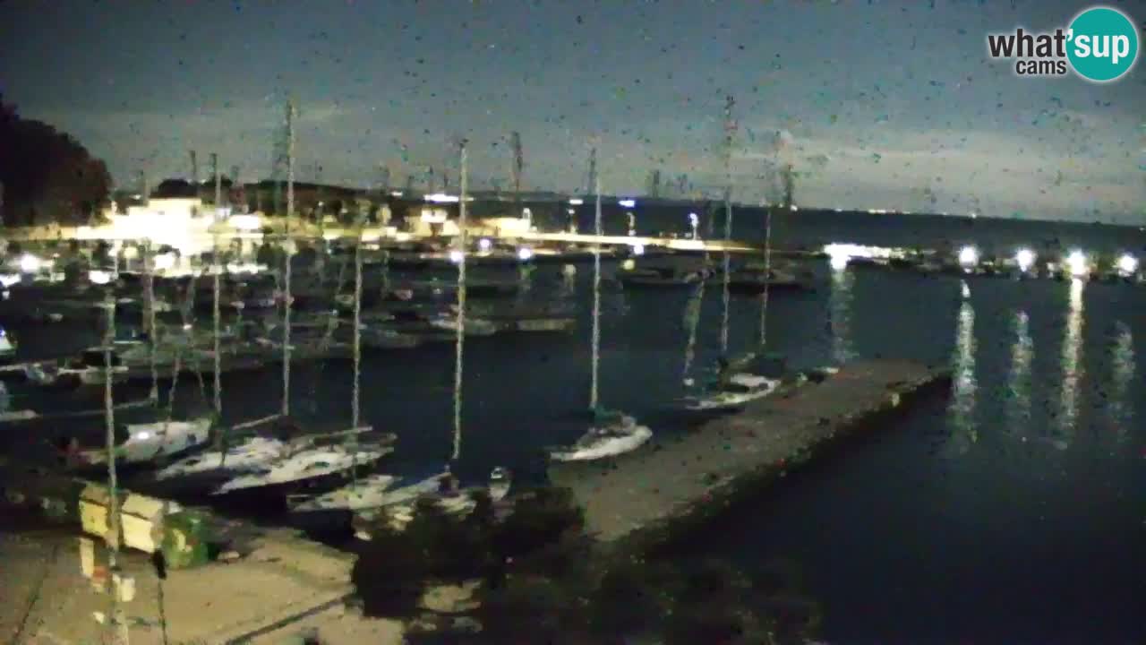 Webcam Sistiana – Marina and Bay Live View