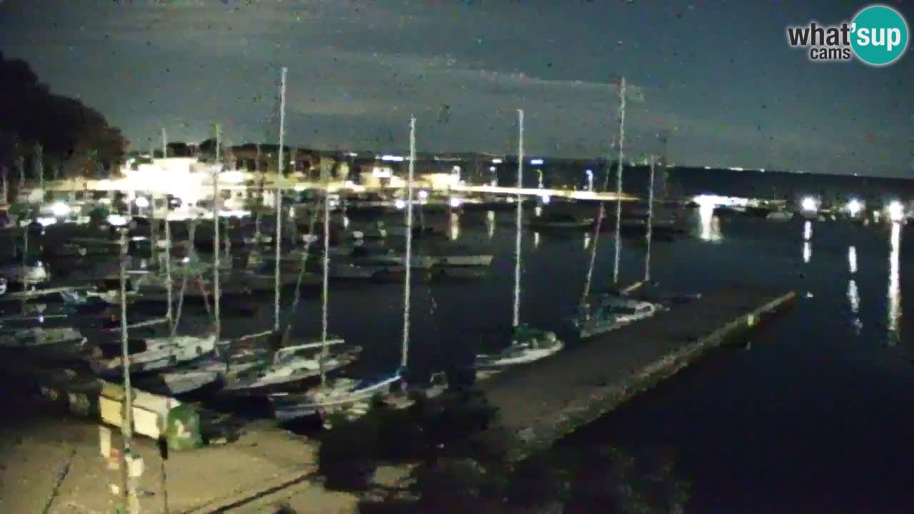 Webcam Sistiana – Pogled na marinu i zaljev