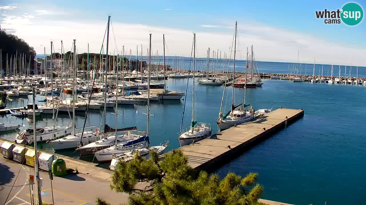 Webcam Sistiana – Vista sulla marina e sulla baia