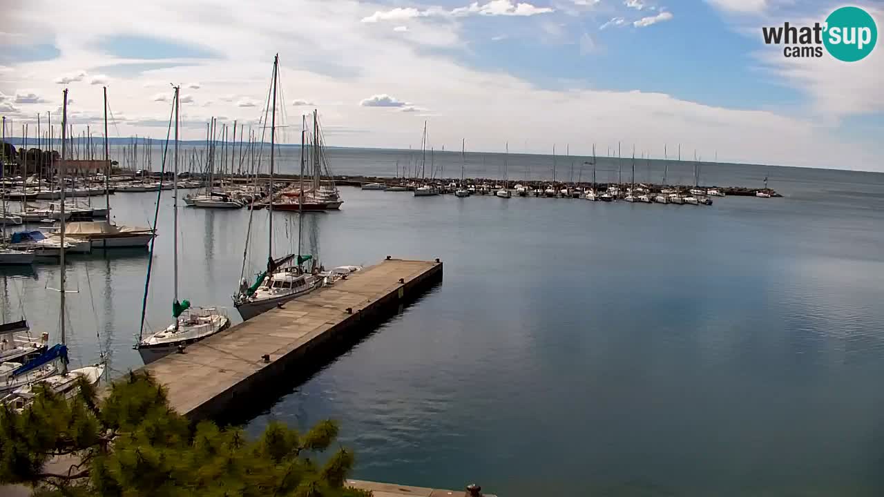 Webcam Sistiana – Vista sulla marina e sulla baia