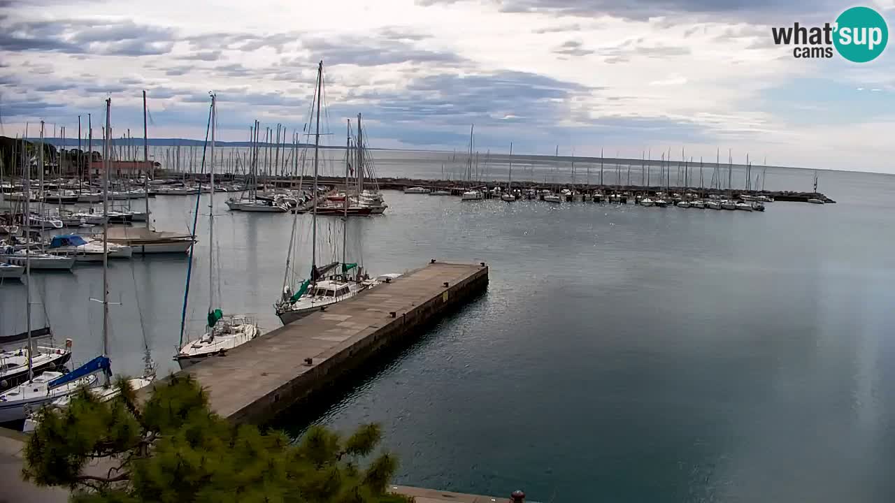 Webcam Sistiana – Vista sulla marina e sulla baia