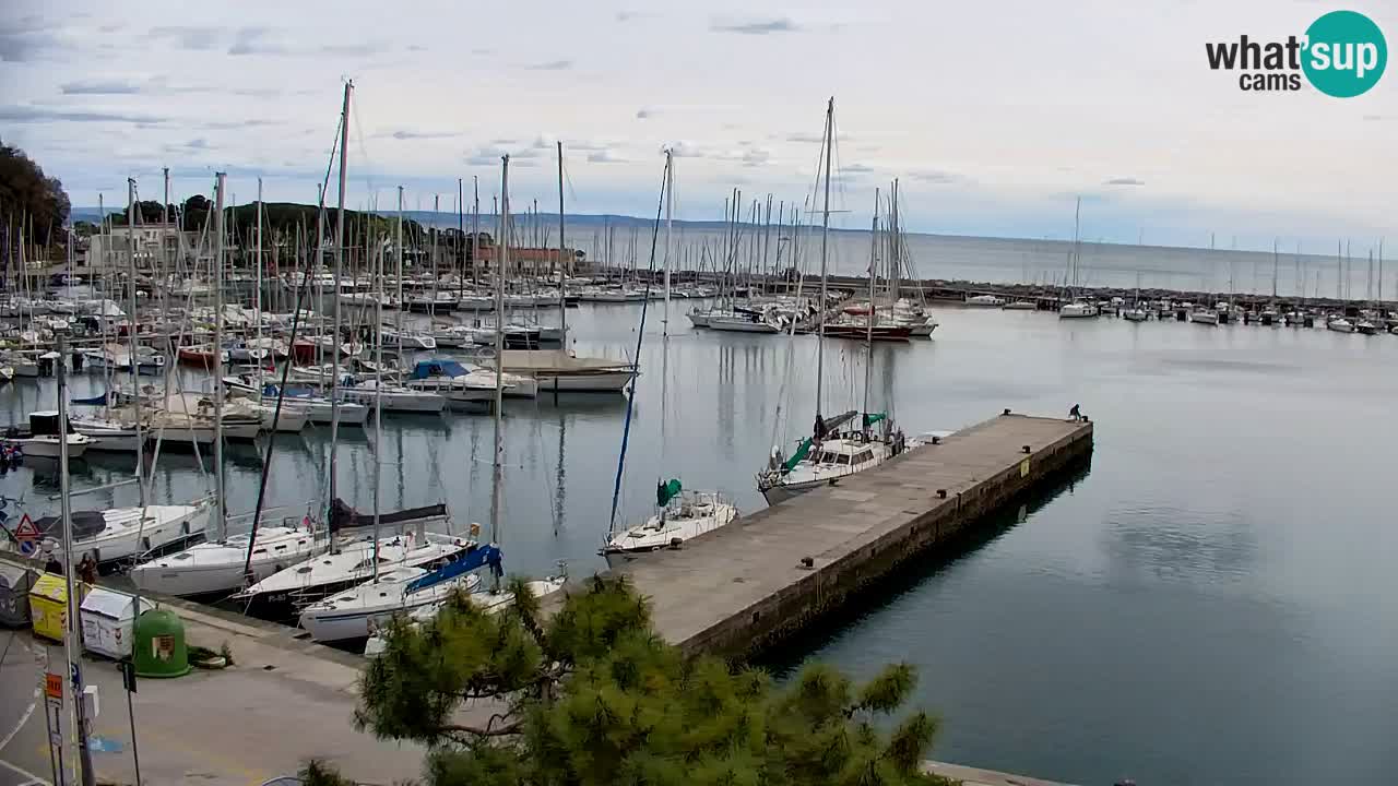 Webcam Sistiana – Pogled na marinu i zaljev