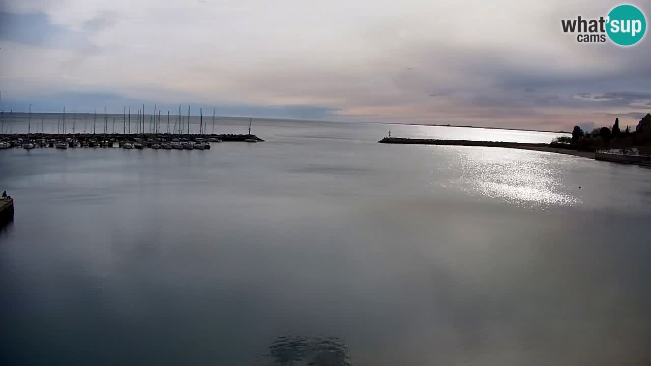 Webcam Sistiana – Blick auf Marina und Bucht