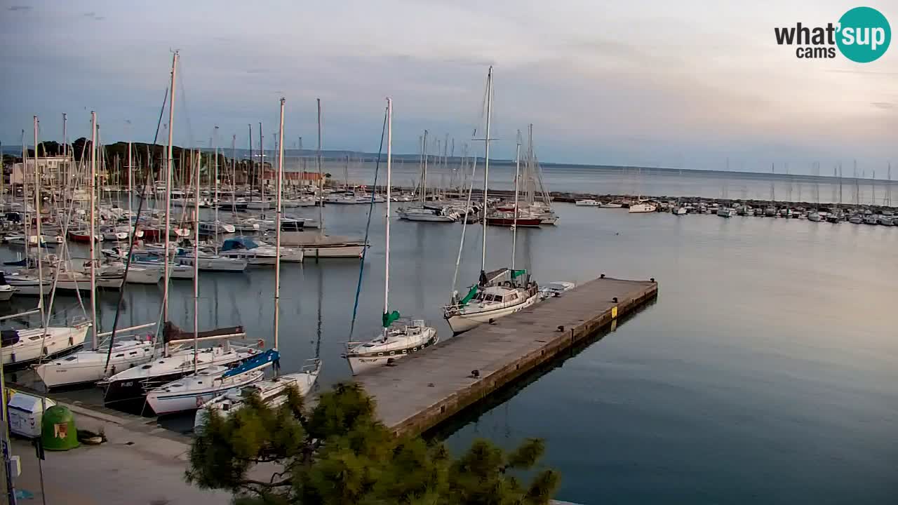 Spletna kamera Sesljan (Sistiana) – Pogled na marino in zaliv