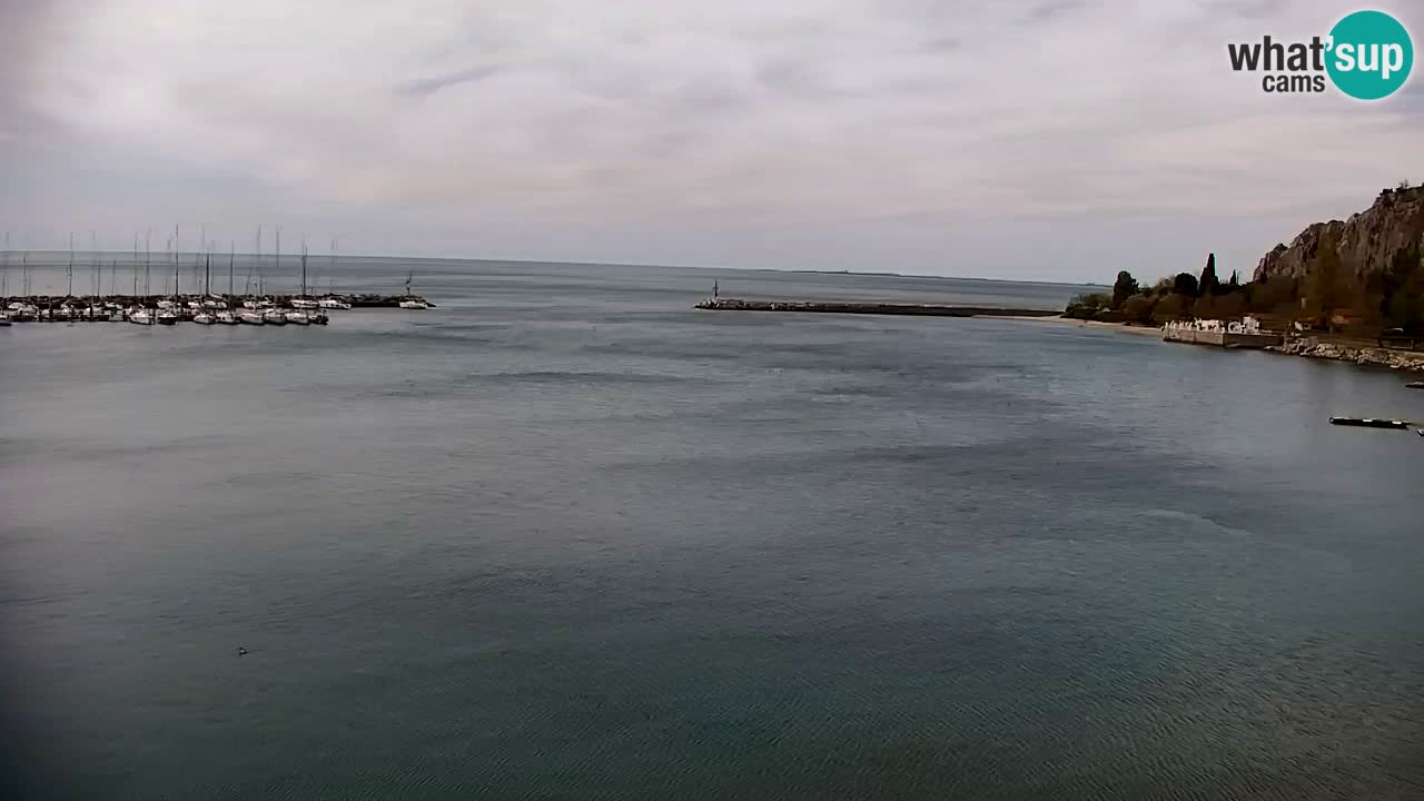 Webcam Sistiana – Marina and Bay Live View