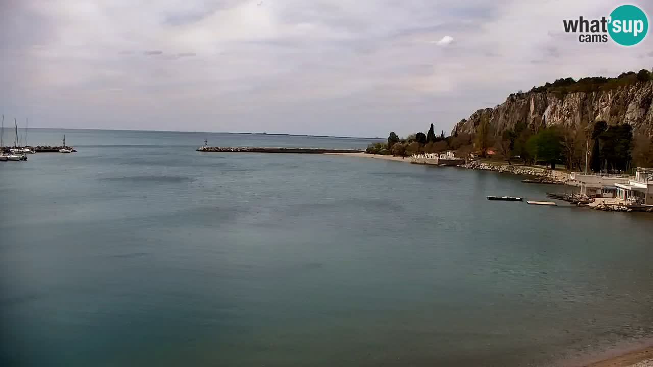 Webcam Sistiana – Marina and Bay Live View