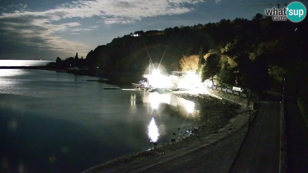 Spletna kamera Sesljan (Sistiana) – Pogled na marino in zaliv