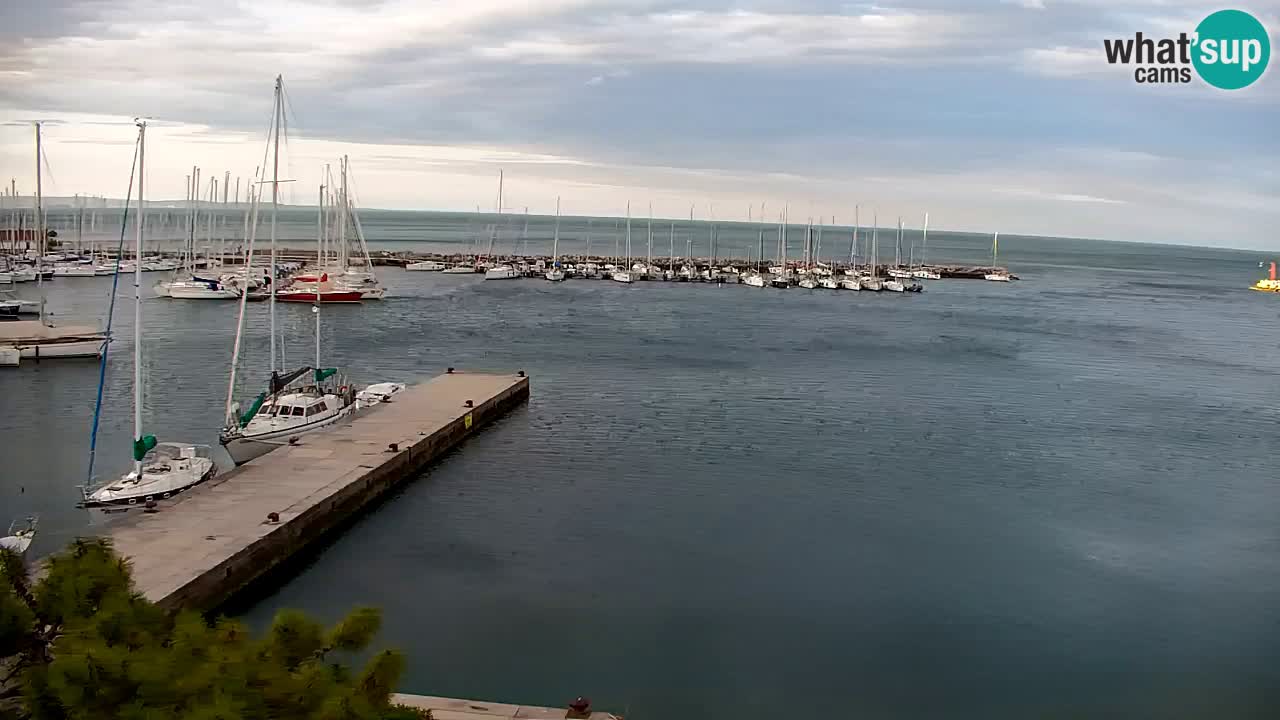 Webcam Sistiana – Marina and Bay Live View