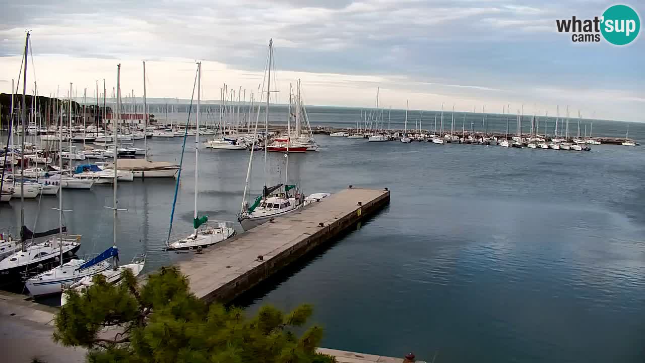 Webcam Sistiana – Marina and Bay Live View