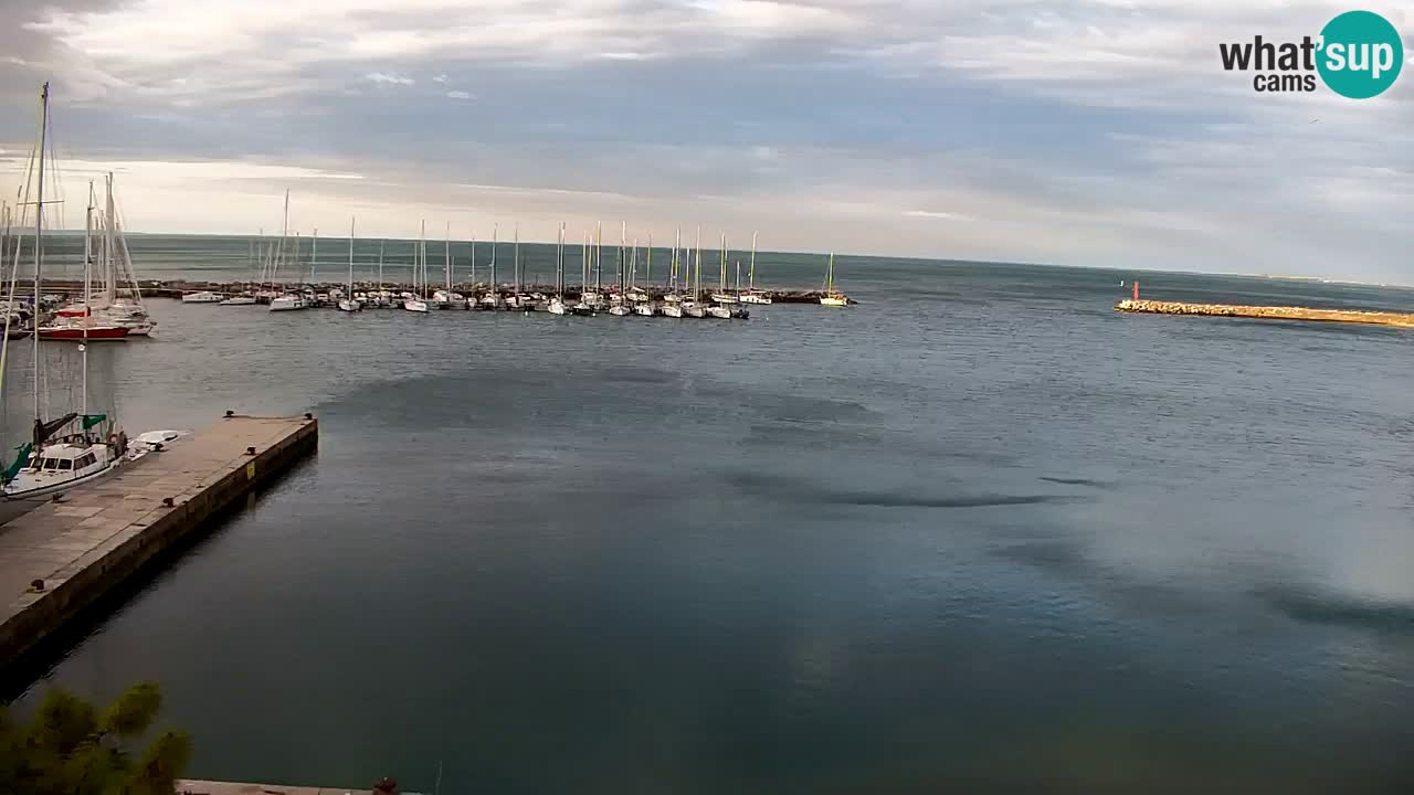 Webcam Sistiana – Marina and Bay Live View
