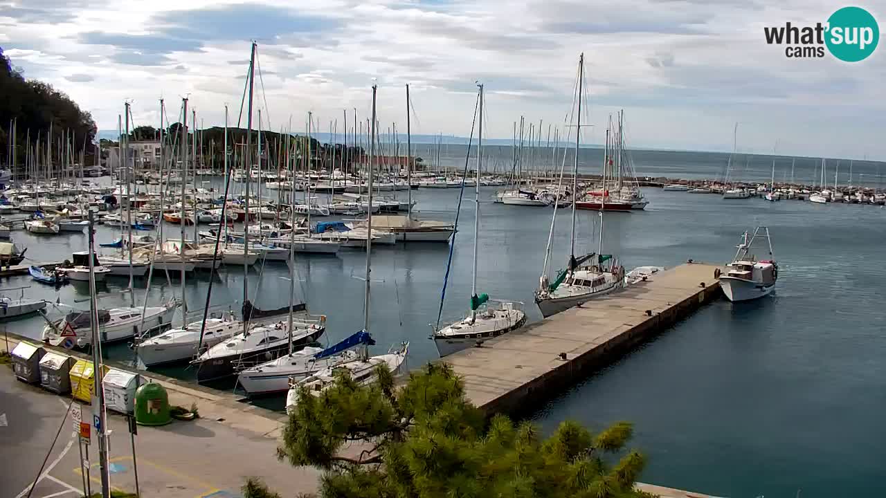Webcam Sistiana – Marina and Bay Live View