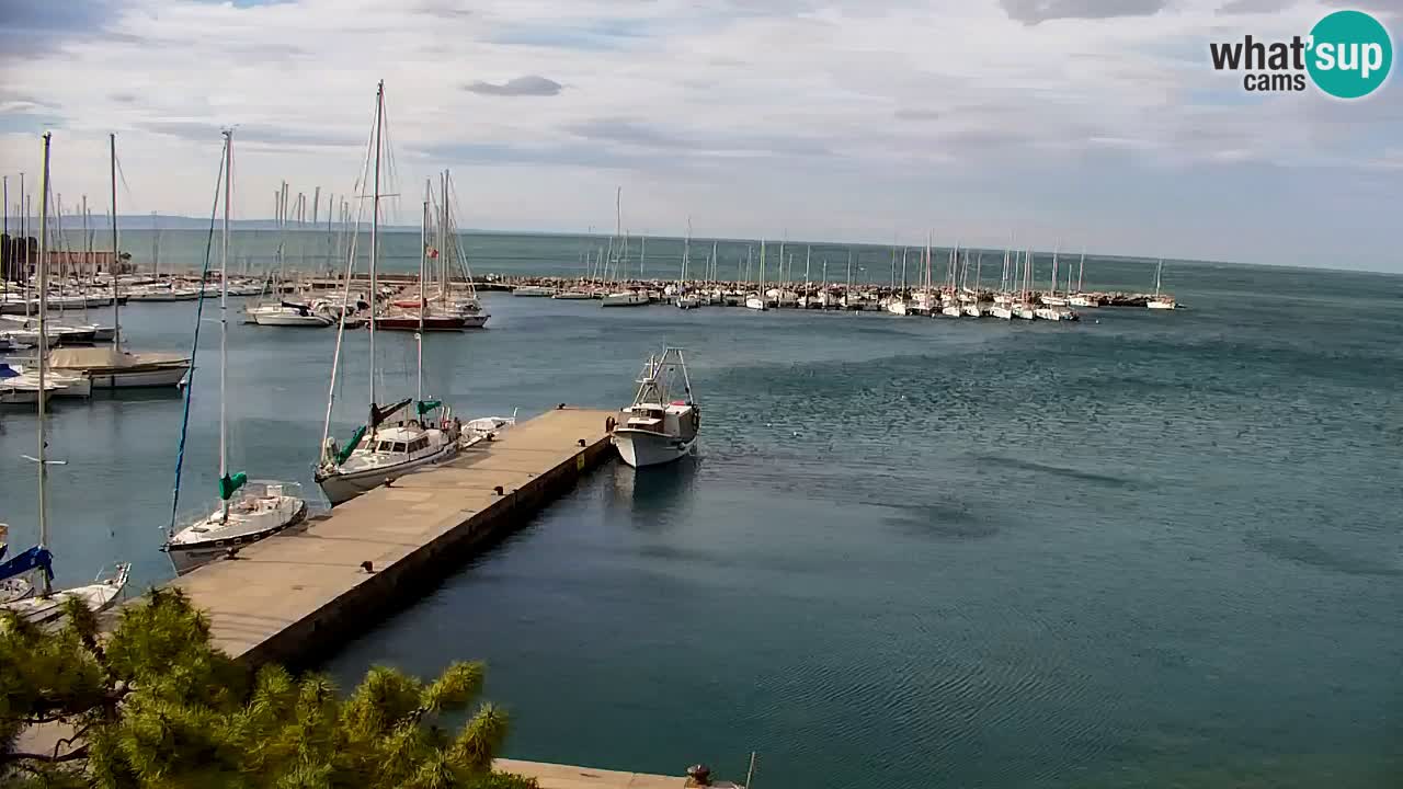 Webcam Sistiana – Marina and Bay Live View