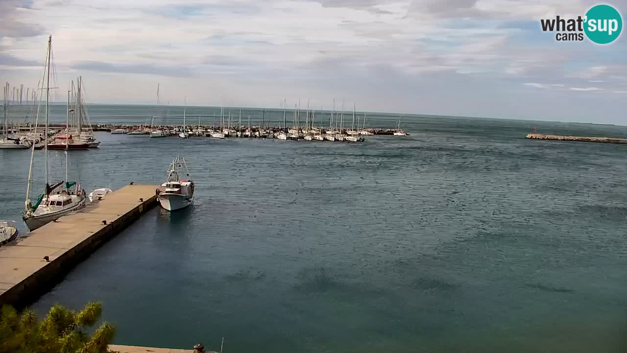 Webcam Sistiana – Marina and Bay Live View