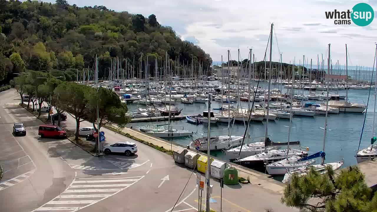 Webcam Sistiana – Pogled na marinu i zaljev