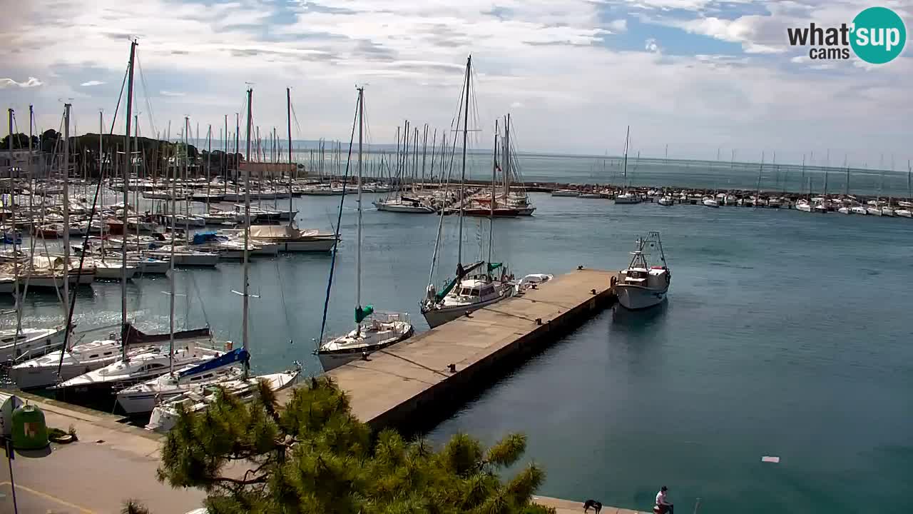 Webcam Sistiana – Vista sulla marina e sulla baia