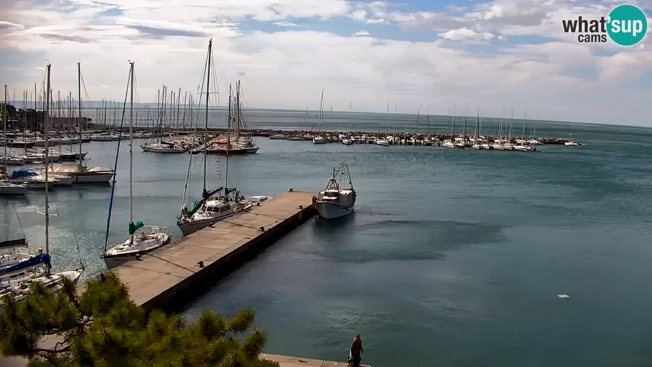 Webcam Sistiana – Blick auf Marina und Bucht
