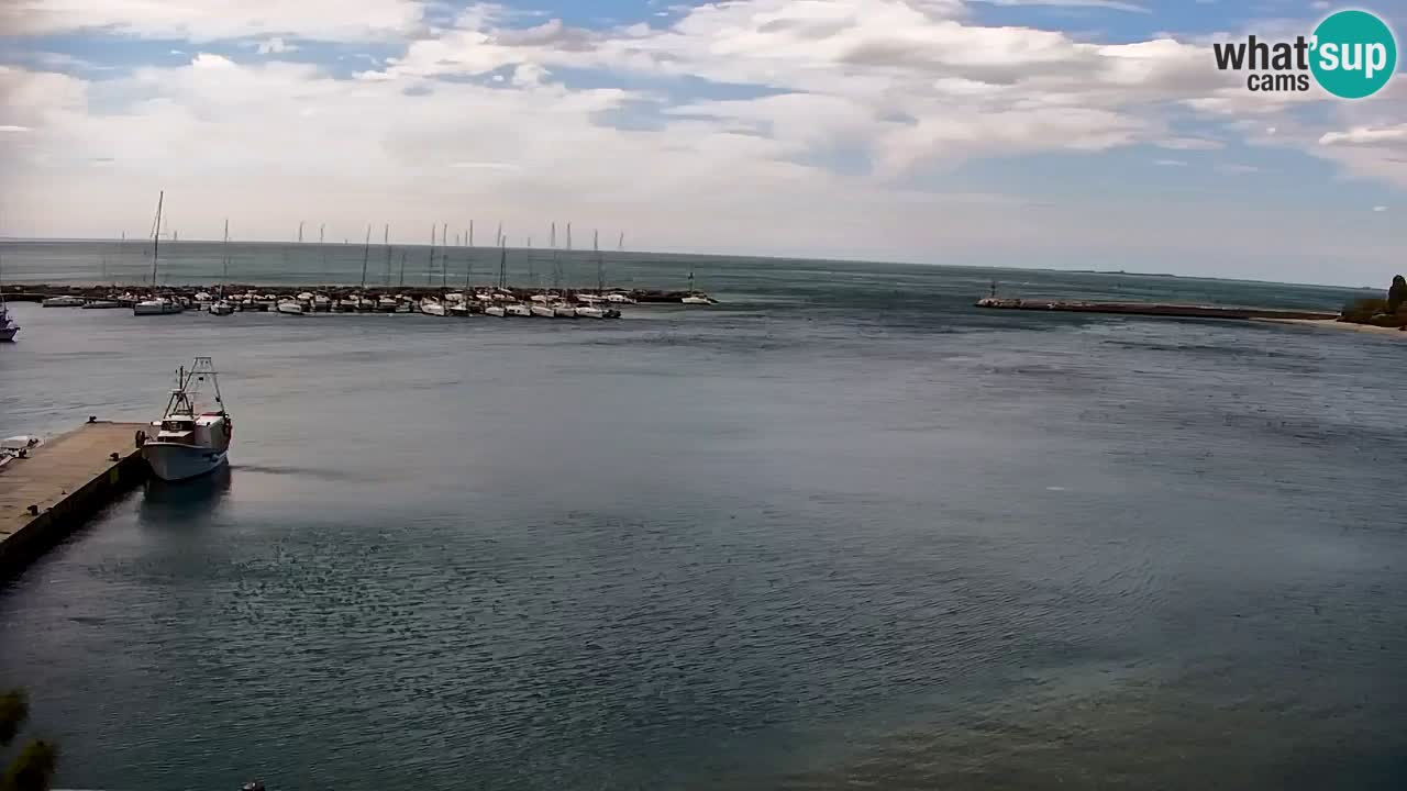 Spletna kamera Sesljan (Sistiana) – Pogled na marino in zaliv
