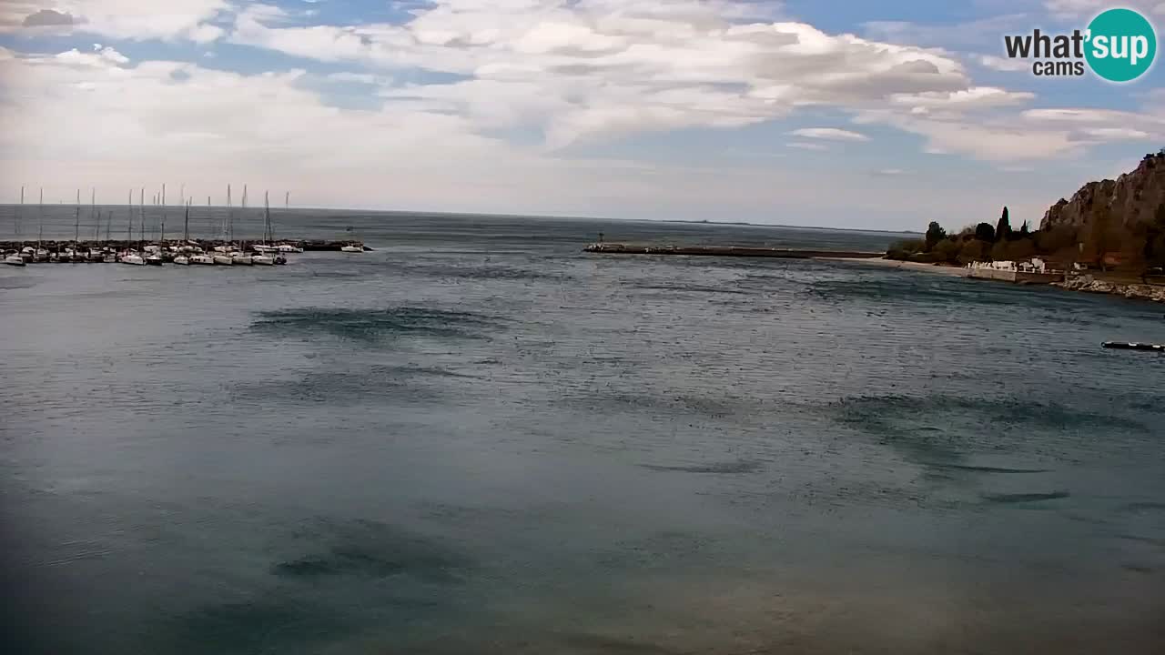 Spletna kamera Sesljan (Sistiana) – Pogled na marino in zaliv