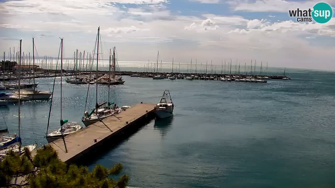 Spletna kamera Sesljan (Sistiana) – Pogled na marino in zaliv