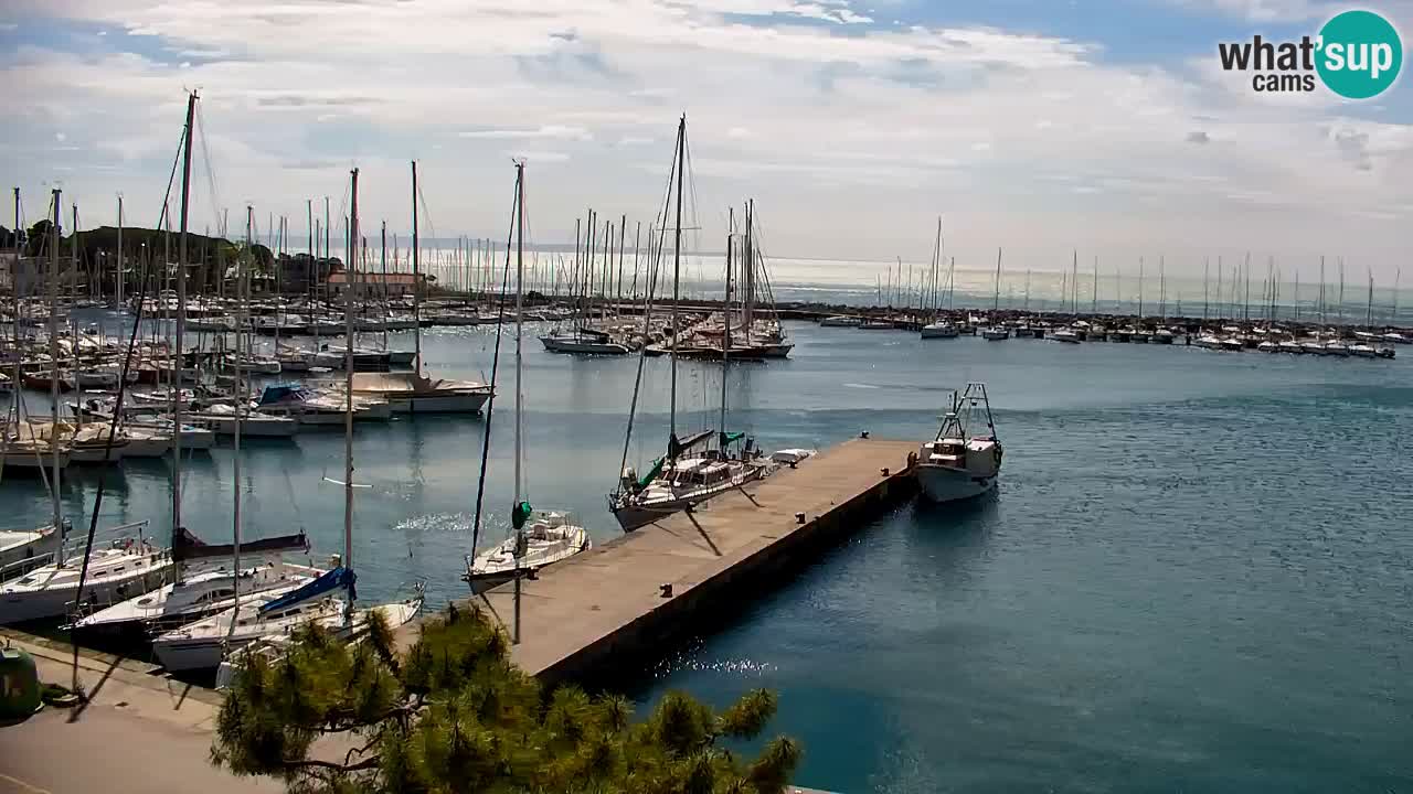Webcam Sistiana – Vista sobre la marina y la bahía