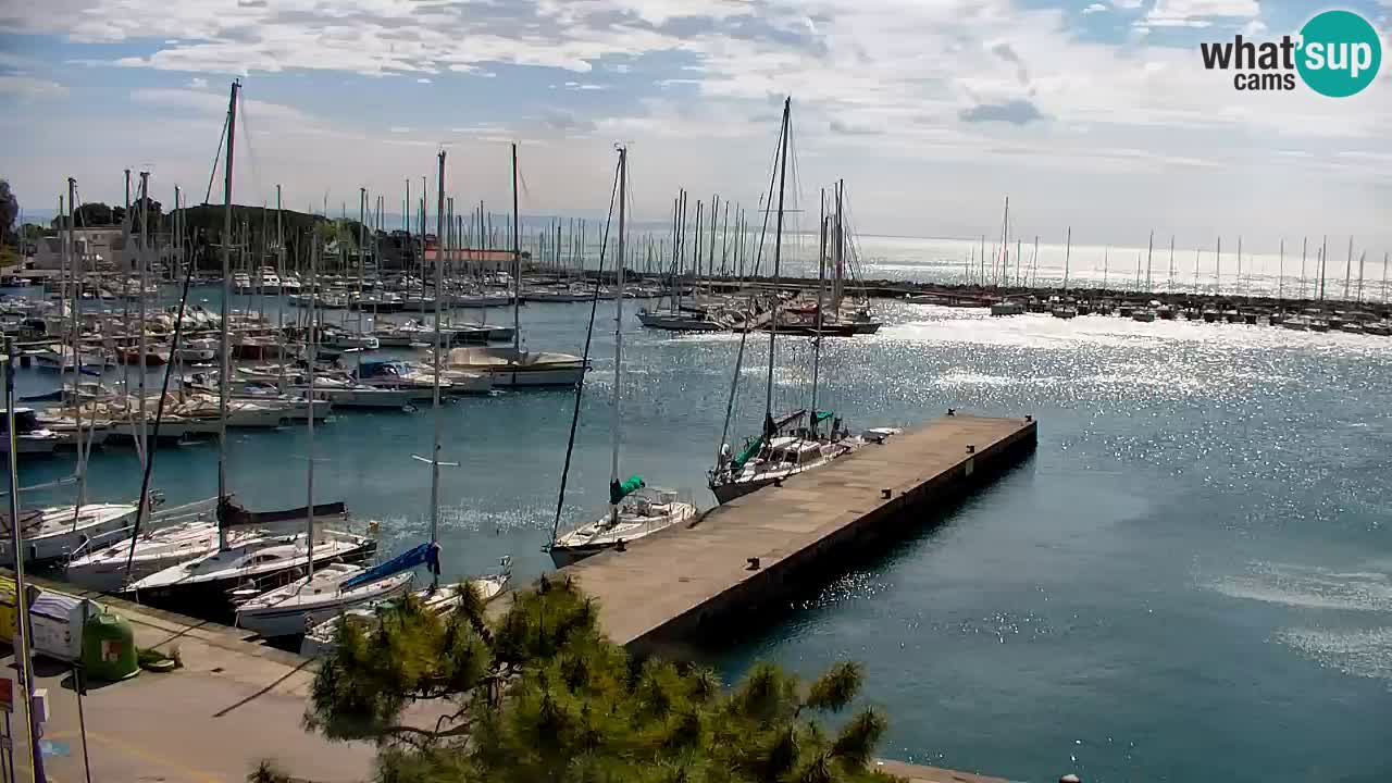 Webcam Sistiana – Vista sulla marina e sulla baia