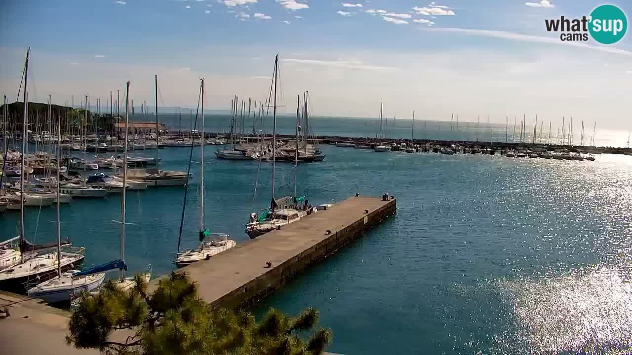 Spletna kamera Sesljan (Sistiana) – Pogled na marino in zaliv