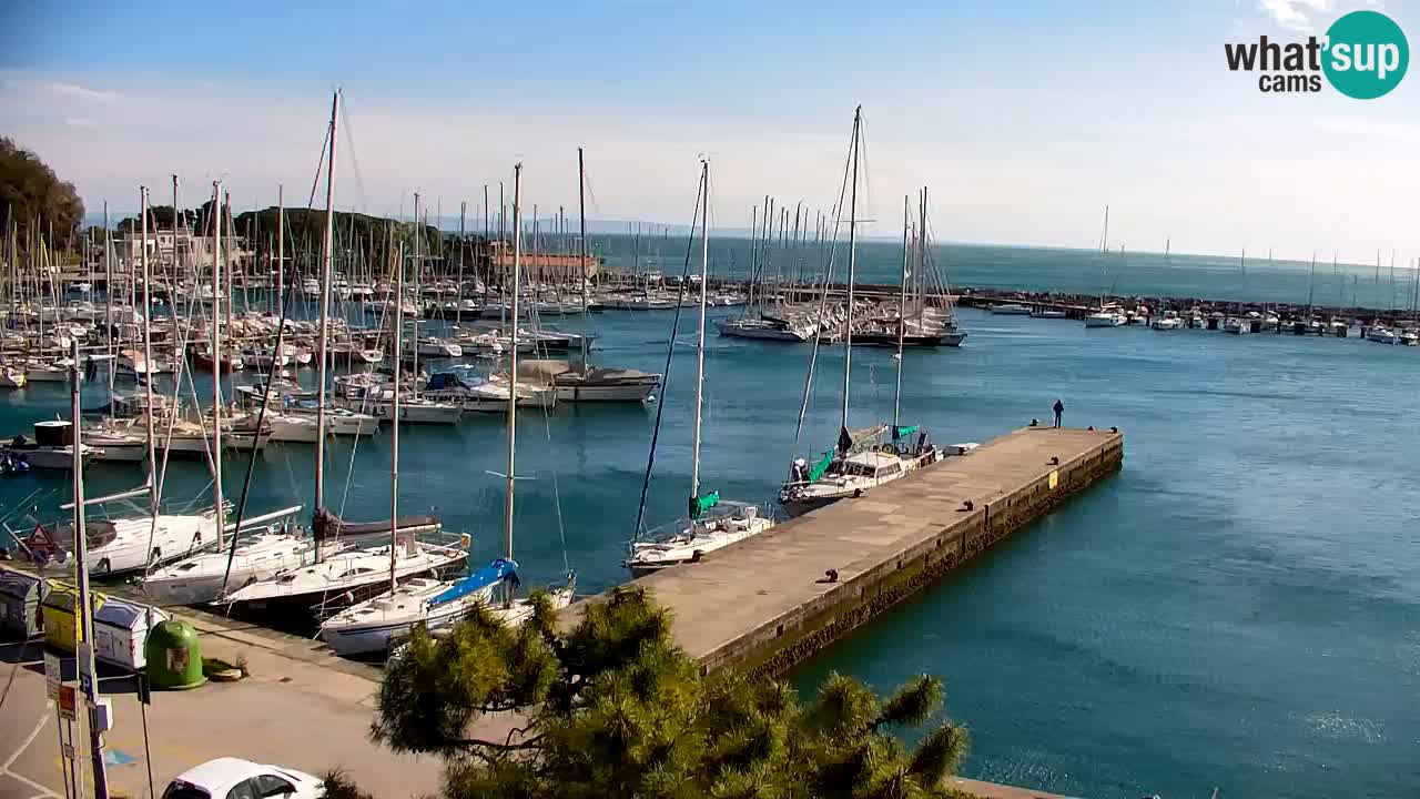 Webcam Sistiana – Vista sulla marina e sulla baia