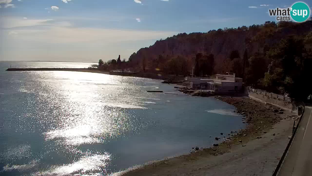 Spletna kamera Sesljan (Sistiana) – Pogled na marino in zaliv