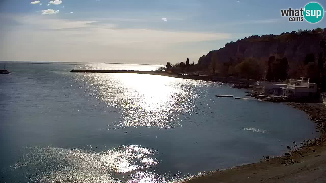 Webcam Sistiana – Marina and Bay Live View