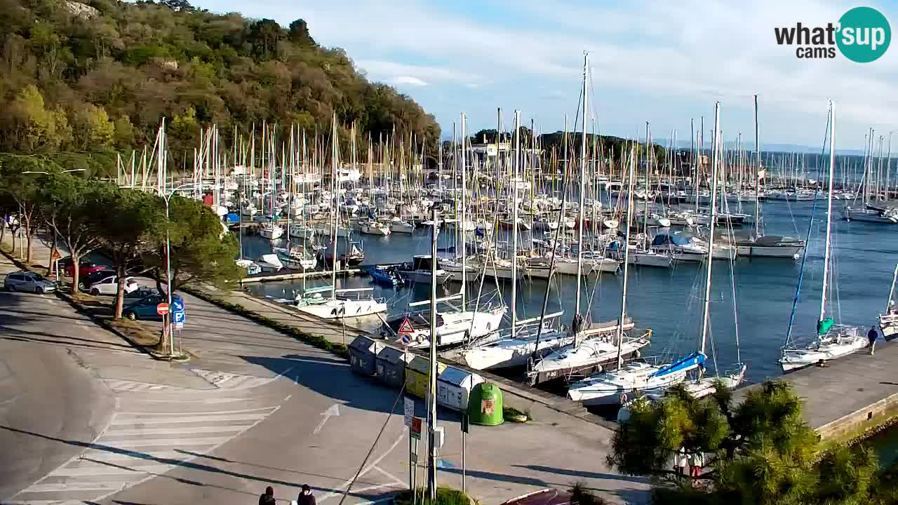 Spletna kamera Sesljan (Sistiana) – Pogled na marino in zaliv