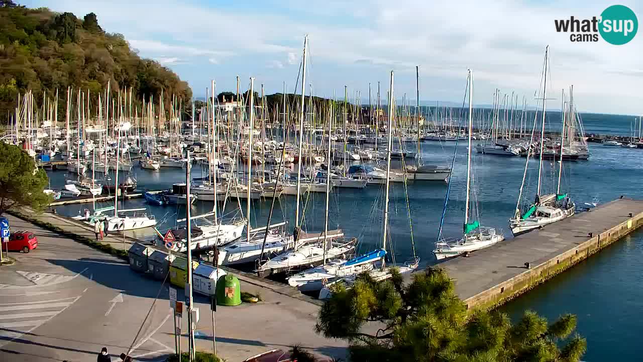 Webcam Sistiana – Vista sulla marina e sulla baia