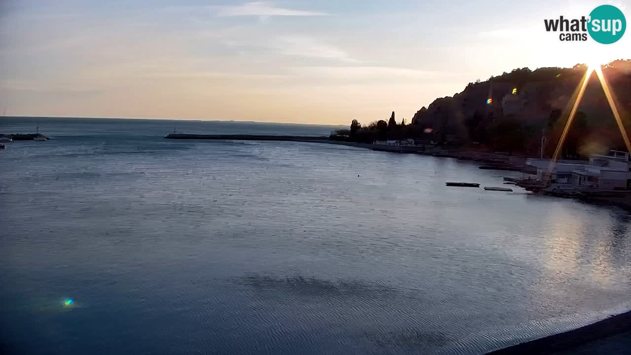 Spletna kamera Sesljan (Sistiana) – Pogled na marino in zaliv