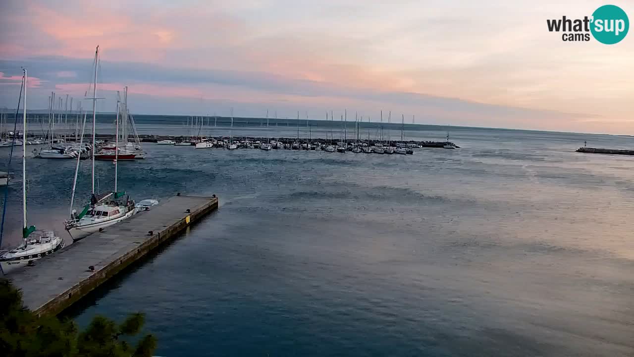 Webcam Sistiana – Vista sobre la marina y la bahía