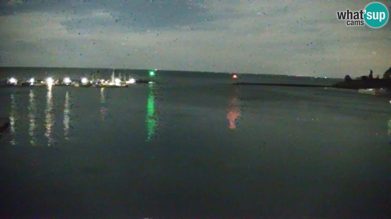 Webcam Sistiana – Pogled na marinu i zaljev