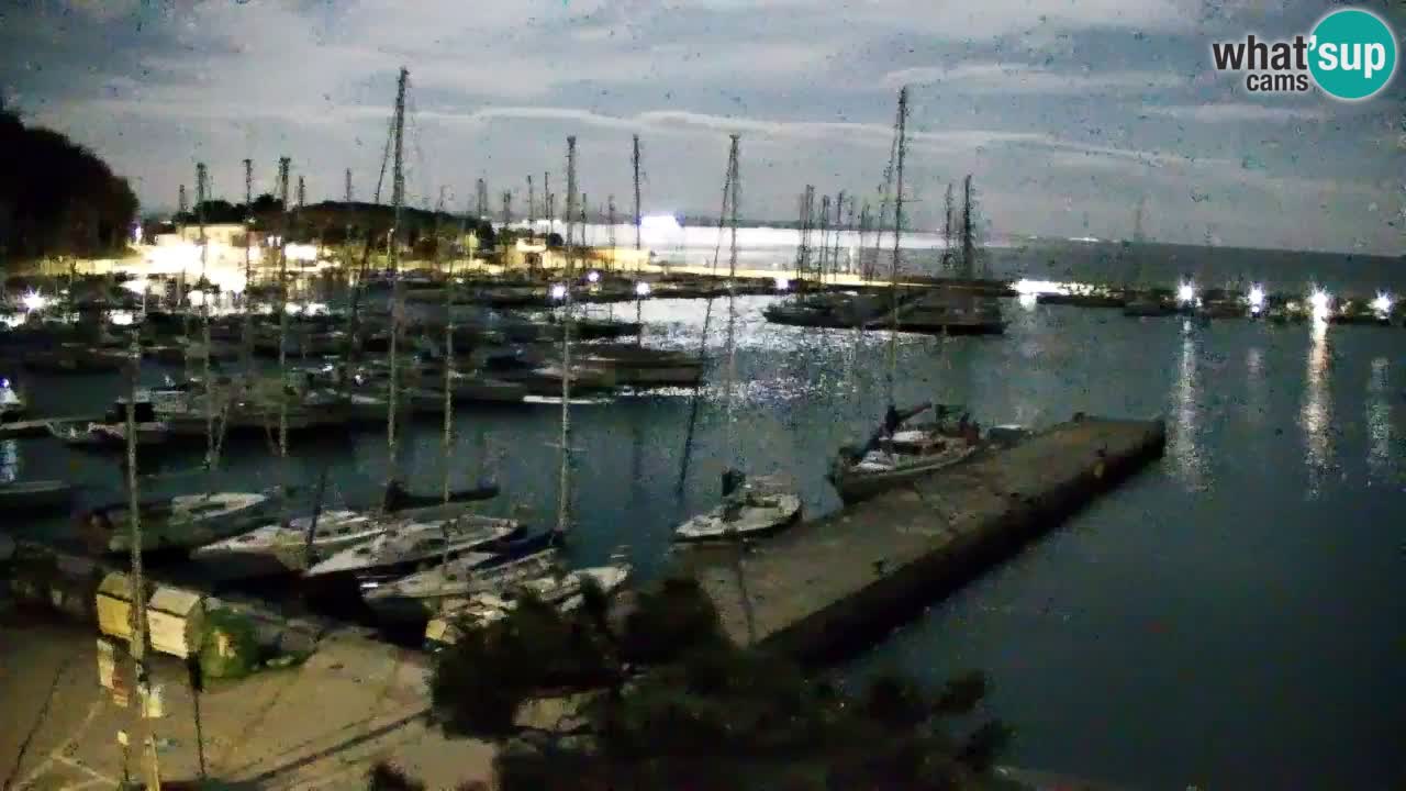 Spletna kamera Sesljan (Sistiana) – Pogled na marino in zaliv