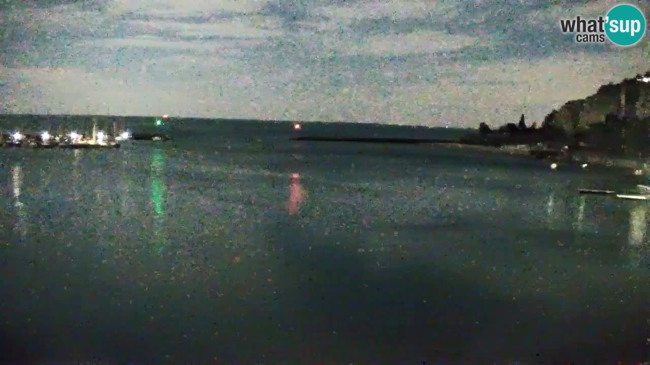 Webcam Sistiana – Marina and Bay Live View