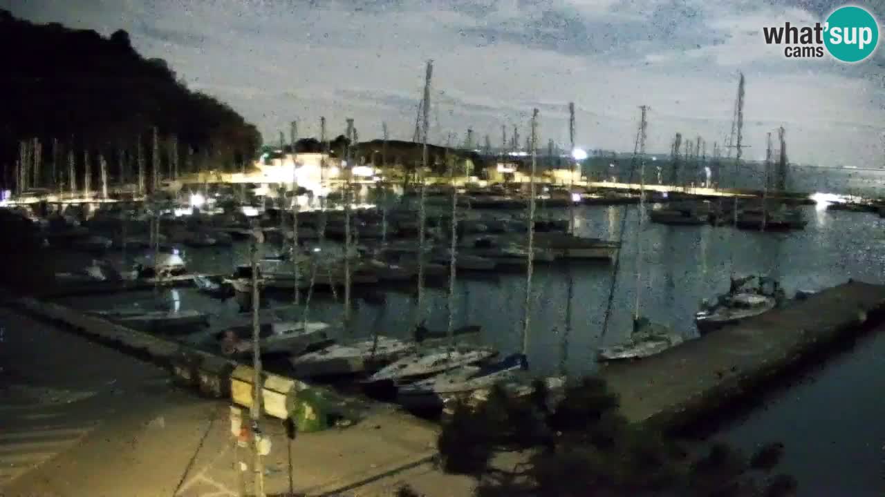 Webcam Sistiana – Marina and Bay Live View