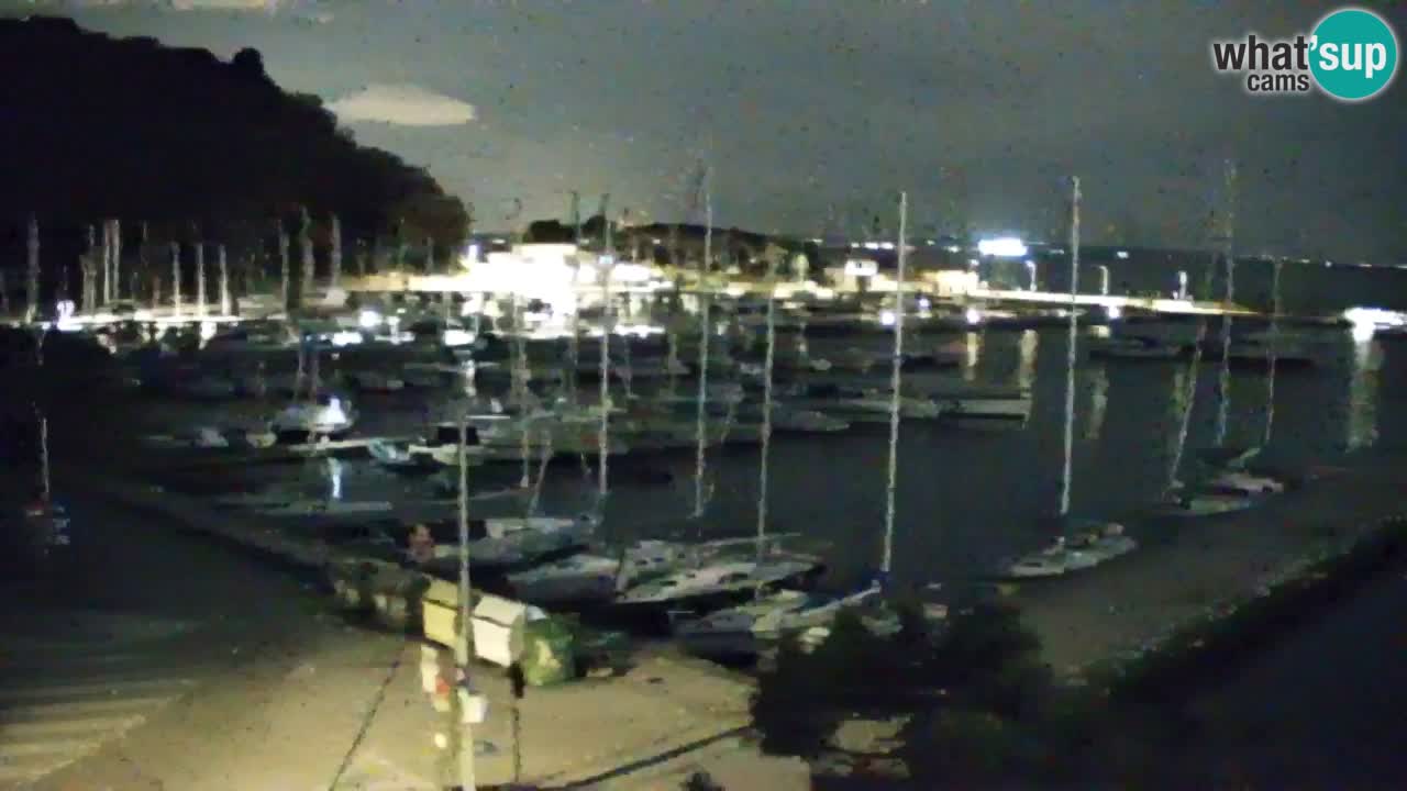 Spletna kamera Sesljan (Sistiana) – Pogled na marino in zaliv
