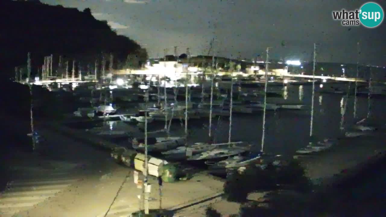 Webcam Sistiana – Marina and Bay Live View