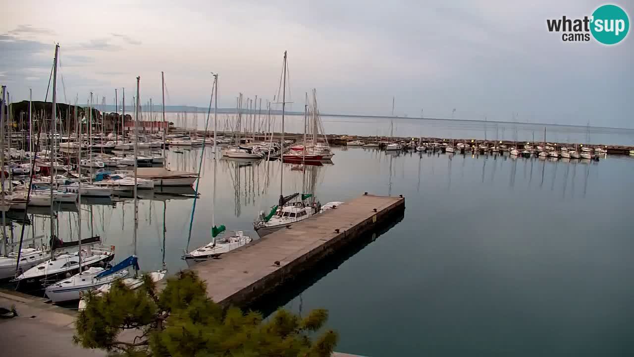 Webcam Sistiana – Vista sobre la marina y la bahía