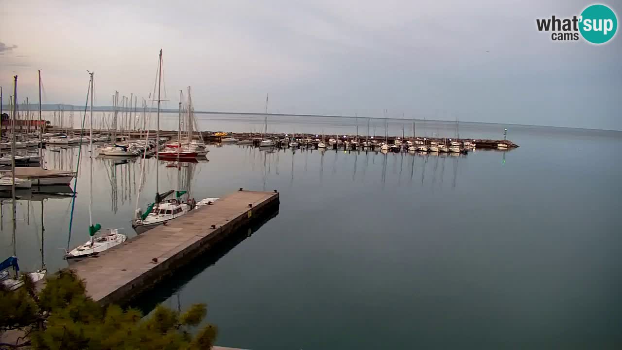 Webcam Sistiana – Vista sobre la marina y la bahía