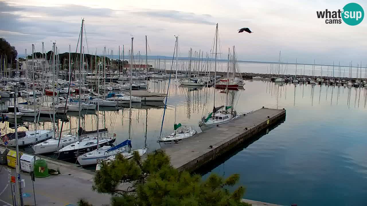 Spletna kamera Sesljan (Sistiana) – Pogled na marino in zaliv